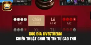Xóc Đĩa Livestream – Chiến Thuật Chơi Tự Tin Từ Cao Thủ